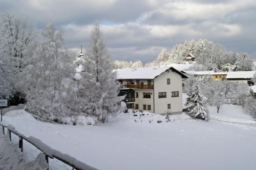 a house in the snow with snow covered trees at Gasthof Diewald in Raach am Hochgebirge