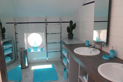 Baño con 2 lavabos y espejo en Le Loft De La Robine 110m2, en Narbona