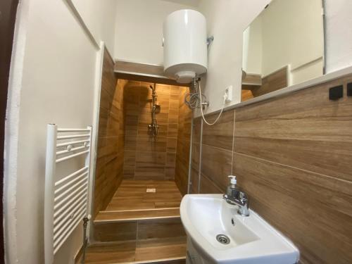 a bathroom with a sink and a walk in shower at Apartmány Pražská in Ústí nad Labem