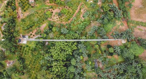 an overhead view of a road in a forest at UCM Adventure Park in San Mateo