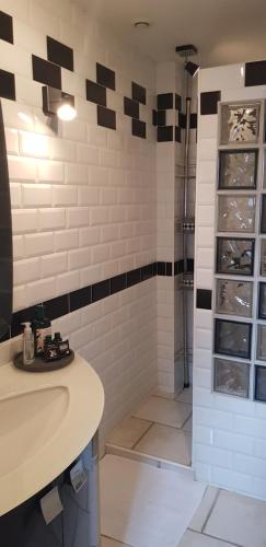 une salle de bain avec un lavabo et une douche dans l'établissement Chambre d hotes, à Montlignon