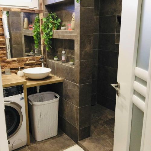a bathroom with a sink and a washing machine at Baky House in Balatonlelle