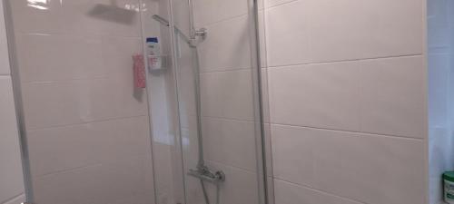 a shower with a glass door in a bathroom at Appendix 254 in Oldbury