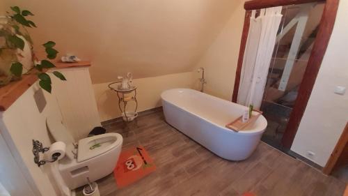 a bathroom with a bath tub and a toilet at Ferienwohnung im Traumhaus in Werda