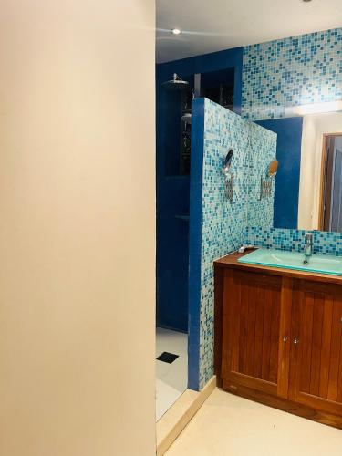La salle de bains est pourvue d'un lavabo et d'une douche bleue. dans l'établissement Villa des Plantes, à Villecresnes