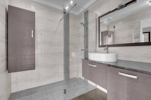 La salle de bains est pourvue d'une douche, d'un lavabo et d'un miroir. dans l'établissement Toit des Rêves - Parking - Stadium, à Toulouse