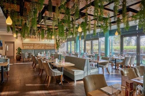 a restaurant with tables and chairs and windows at Wivenhoe House Hotel in Colchester