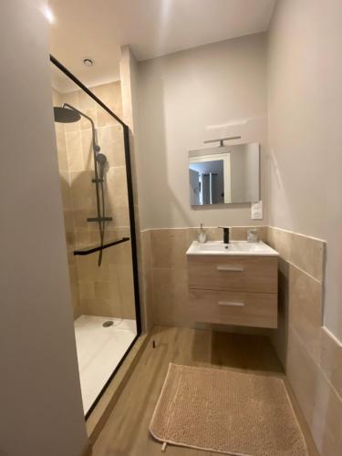 een badkamer met een douche, een wastafel en een spiegel bij Le bon coin in Le Creusot