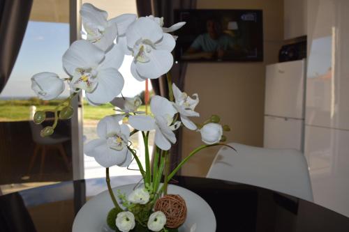 Fotografie z fotogalerie ubytování MERSINERA Paradise Garden 2 v destinaci Larnaka