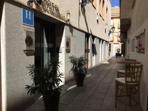 an empty alley with plants in a building at Hotel Real de Illescas in Illescas