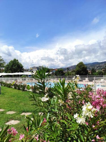 - une piscine fleurie dans une cour dans l'établissement Studio 314 - LES SUITES DE ROBINSON - Résidence avec piscine en bord de Siagne, à Mandelieu-La-Napoule, à Mandelieu-la-Napoule