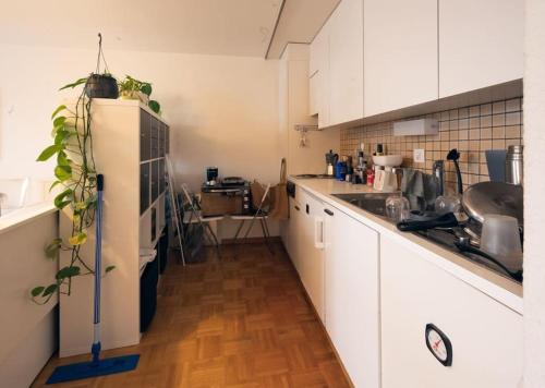 Glamorous Apartment in the Heart of Fribourgにあるキッチンまたは簡易キッチン