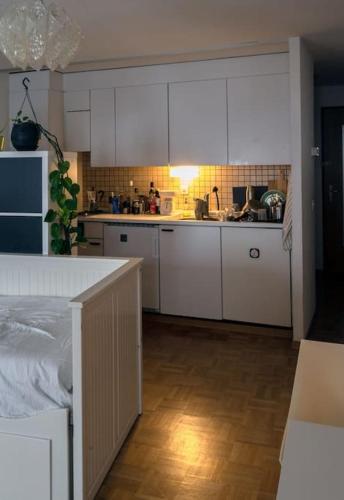 Glamorous Apartment in the Heart of Fribourgにあるキッチンまたは簡易キッチン