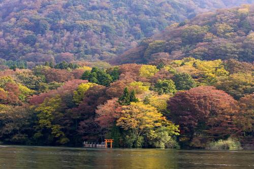 a hillside with trees in the middle of a lake at Hakone Hotel in Hakone