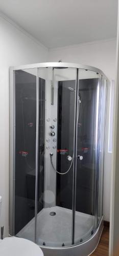La salle de bains est pourvue d'une douche en verre et de toilettes. dans l'établissement Orillas del Coilaco, à Pucón