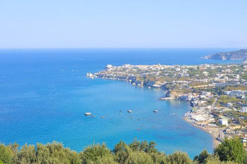 una vista aerea di una piccola isola nell'oceano di Sweetposeidon a Ischia