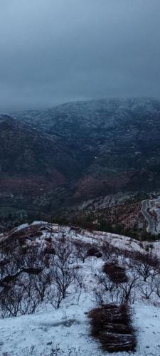 an aerial view of a snow covered field with trees at Ihram Hotel And Guest House in Swat