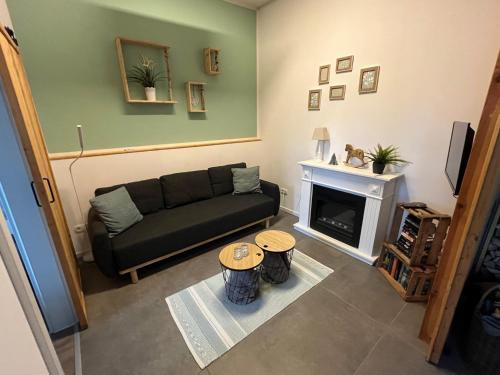 a living room with a couch and a fireplace at Alte Schule Seinsfeld in Seinsfeld