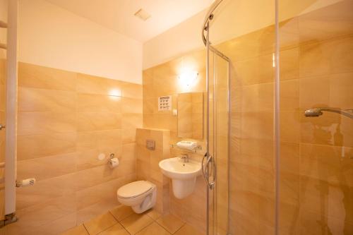 a bathroom with a shower and a toilet and a sink at DW Halka in Kudowa-Zdrój