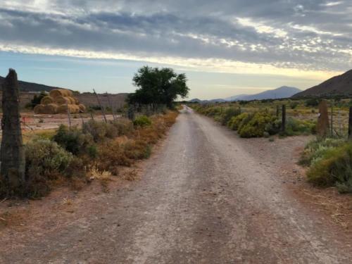 a dirt road in the middle of a field at Magoos on 62 in Ladismith