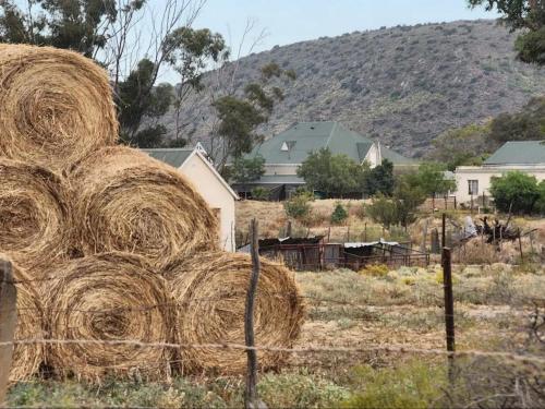 a pile of hay sitting on top of a fence at Magoos on 62 in Ladismith