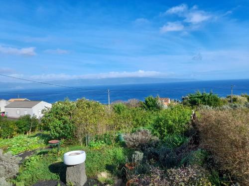 a view of the ocean from a garden at Lost in Thyme in Lajes do Pico
