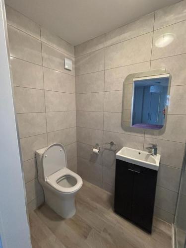 a bathroom with a toilet and a sink at Clifden Lodge 1 Bedroom Apt in Killarney