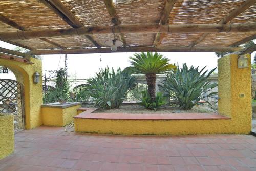 Gallery image of Sweetposeidon in Ischia