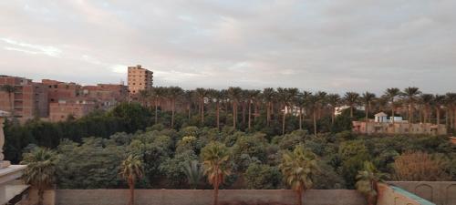 a view of a city with palm trees and buildings at Pyramids Queen Hotel in Cairo