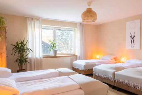 a room with three beds and a window at BlissHouse Luxurious Guesthouse calm and energetic spot near by city surrounded by the forest where you will find your peace and your people in Krakow