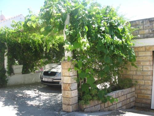 a tree in front of a building with a car at Apartments Vucetic in Hvar