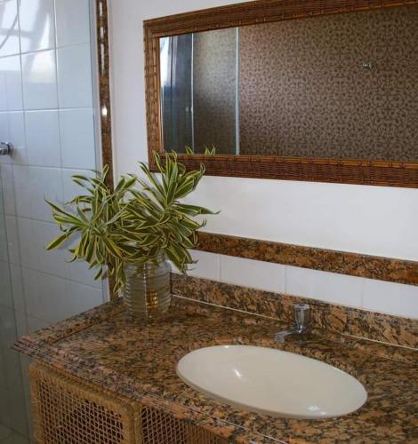 a bathroom sink with a plant on top of it at Deu praiabuzios in Búzios