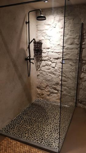 a shower in a bathroom with a glass wall at Le Lodge des Flâneurs in Vielsalm