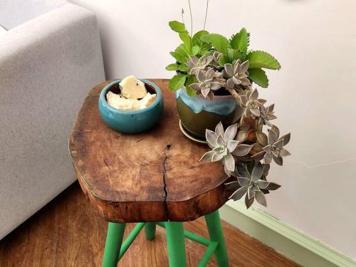 a table with two plants on top of it at Apartamento na quadra da Praia de Piratininga in Niterói