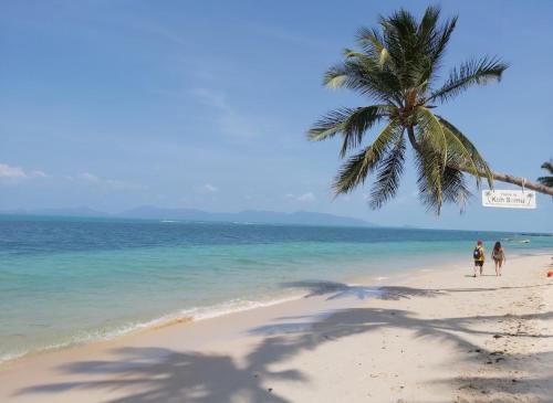 two people walking on a beach with a palm tree at Anong Villa in Amphoe Koksamui