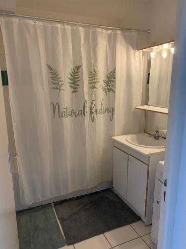 La salle de bains est pourvue d'un rideau de douche blanc et d'un panneau anatomique. dans l'établissement Chambre confortable bordeaux, à Bordeaux