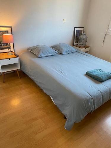 - un grand lit avec deux oreillers dans une chambre dans l'établissement Chambre confortable bordeaux, à Bordeaux
