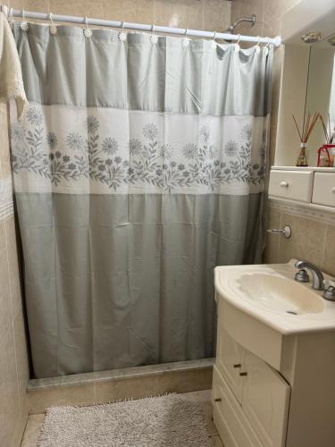 y baño con cortina de ducha y lavamanos. en Los abuelos en San Antonio de Areco