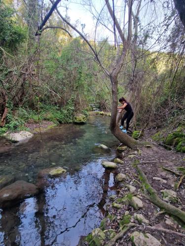 Příroda nedaleko apartmánu