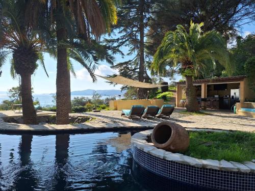a swimming pool with palm trees and a house at Villa La Renarde in Le Lavandou