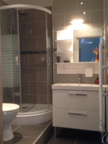 a bathroom with a sink and a toilet and a shower at Chez Eudoxe in Orléans