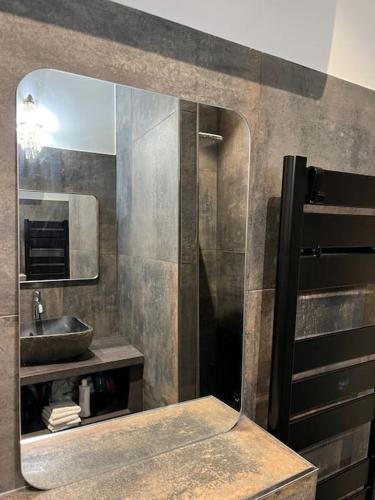 une salle de bain avec un lavabo et un miroir dans l'établissement Cosy Apartment in Paris, à Paris