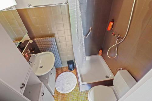 uma casa de banho com um WC, um lavatório e um chuveiro em Charmant studio avec parking gratuit em Ovronnaz
