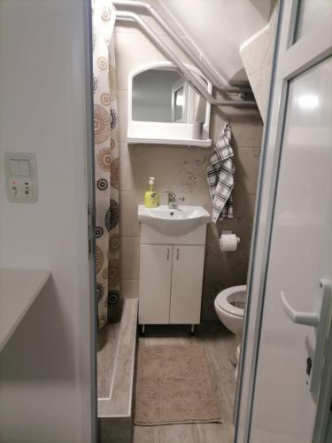 a small bathroom with a sink and a toilet at Stan na dan-MARKOVIĆ- in Dušanovac (historical)
