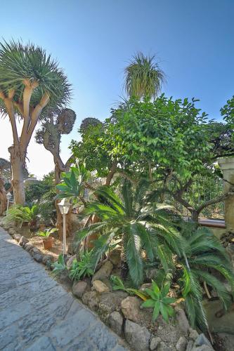 Gallery image of Sweetposeidon in Ischia
