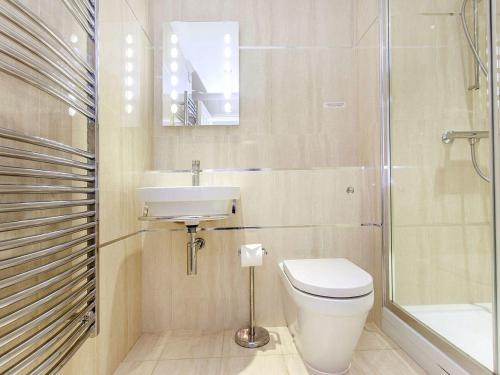 a bathroom with a toilet and a sink and a shower at 19 Burgh Island Causeway in Kingsbridge