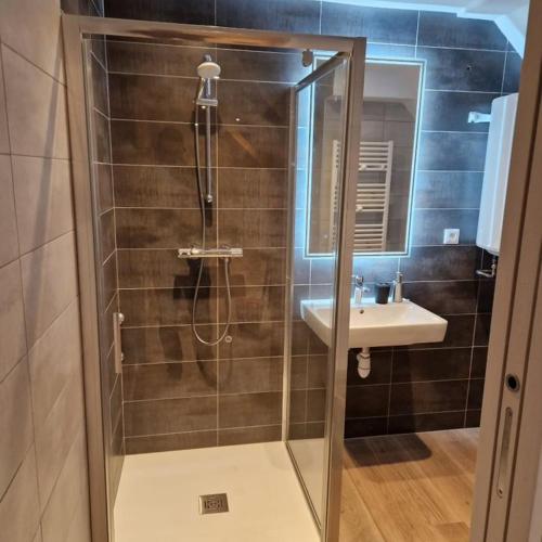 uma casa de banho com um chuveiro e um lavatório. em Résidence du Lac Blanc appartement chez Jérémy em Orbey