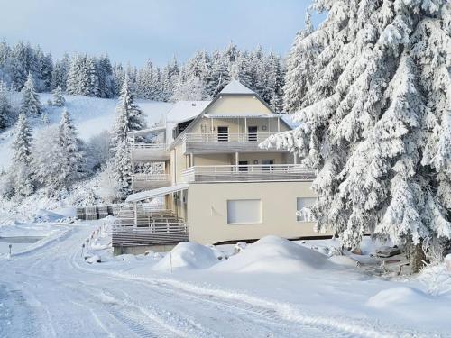 dom w śniegu z pokrytymi śniegiem drzewami w obiekcie Résidence du Lac Blanc appartement chez Jérémy w mieście Orbey