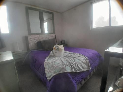 a bedroom with a purple bed and two windows at Casa Bosques in Cuautitlán Izcalli