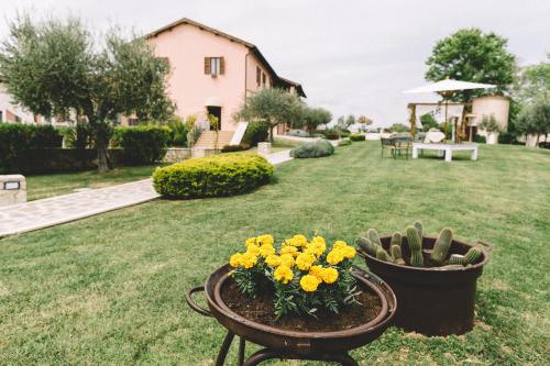 Tenuta Marchesi Fezia – Photos 2